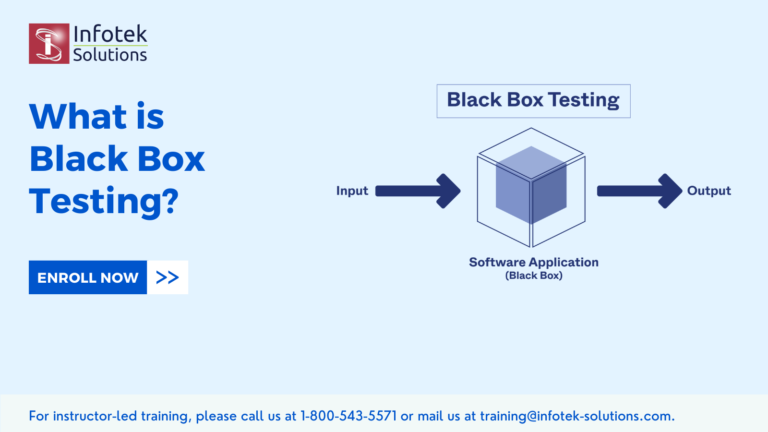 What is Black Box Testing? What are the different types of Black Box Testing?